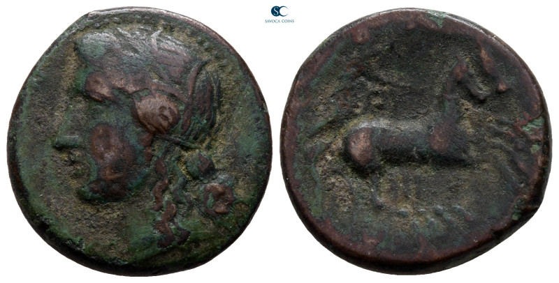 Sicily. Syracuse. Time of Hiketas 287-278 BC. 
Bronze Æ

21 mm, 6,28 g


...