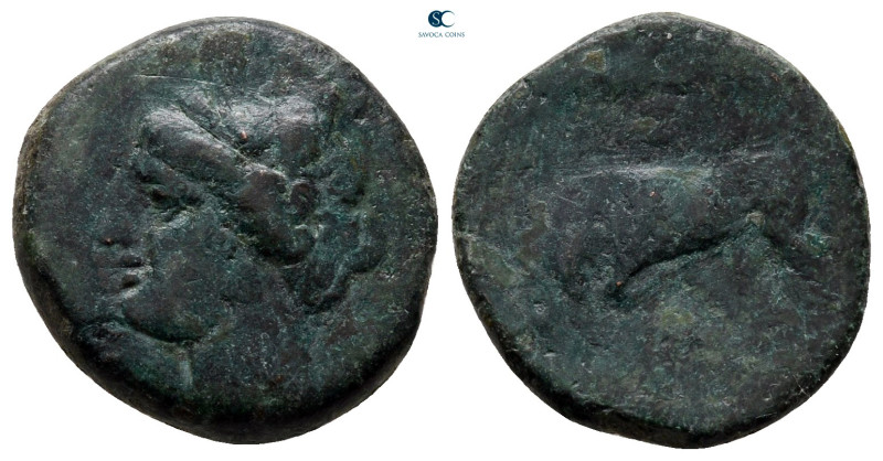 Sicily. Syracuse. Hieron II 275-215 BC. 
Bronze Æ

17 mm, 4,15 g



nearl...