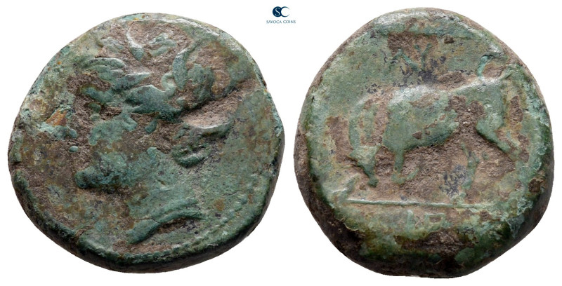 Sicily. Syracuse. Hieron II 275-215 BC. 
Bronze Æ

17 mm, 5,00 g



nearl...