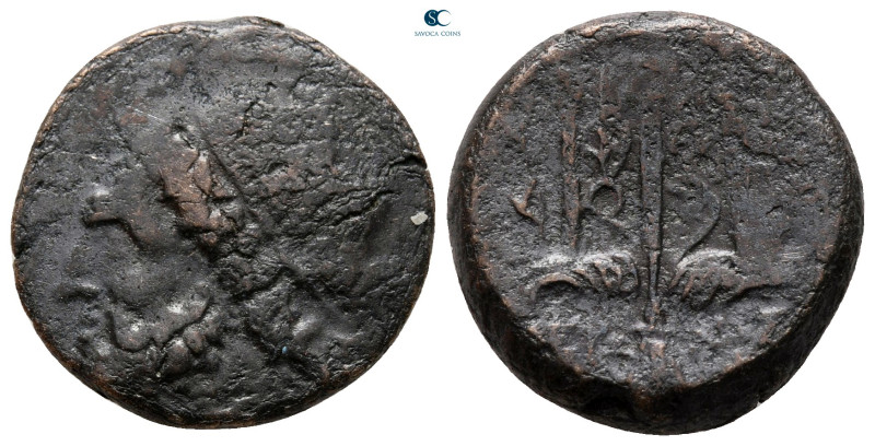 Sicily. Syracuse. Hieron II 275-215 BC. 
Bronze Æ

19 mm, 6,00 g



very ...