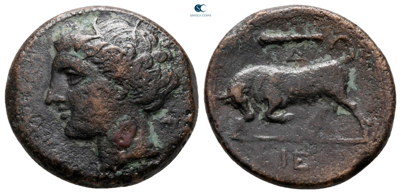Sicily. Syracuse. Hieron II 275-215 BC. 
Bronze Æ

20 mm, 5,70 g



very ...