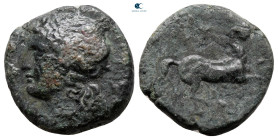 Sicily. Syracuse. Time of Hieron II 275-216 BC. Bronze Æ