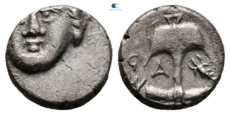 Thrace. Apollonia Pontica circa 410-323 BC. 
Diobol AR

10 mm, 1,17 g



...