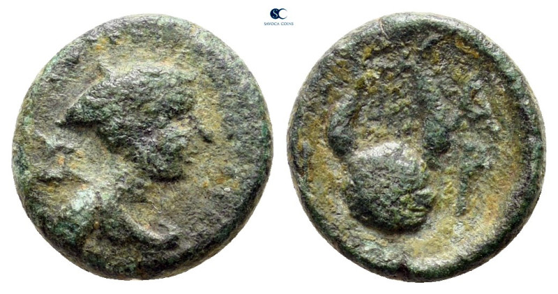 The Thracian Chersonese. Sestos circa 300 BC. 
Bronze Æ

11 mm, 1,33 g


...