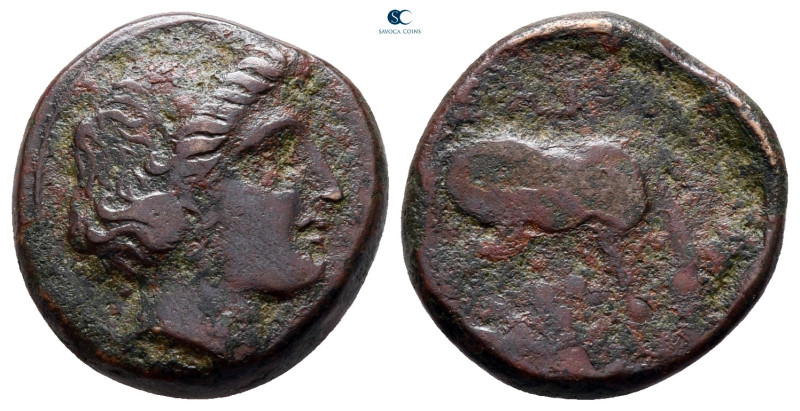 Thessaly. Larissa circa 380-337 BC. 
Bronze Æ

17 mm, 3,48 g



nearly ve...