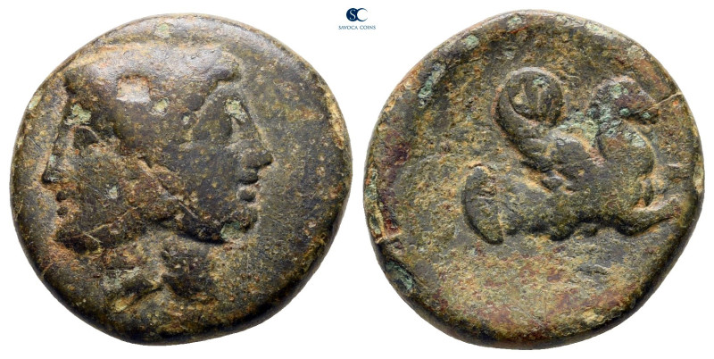 Mysia. Lampsakos circa 361-330 BC. 
Bronze Æ

18 mm, 4,67 g



nearly ver...