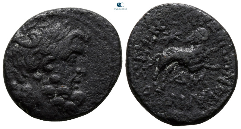 Seleucis and Pieria. Antioch. Pseudo-autonomous issue. Time of Augustus 27 BC-AD...