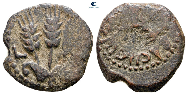 Judaea. Jerusalem. Herodians. Agrippa I AD 37-43. 
Prutah Æ

16 mm, 1,70 g
...