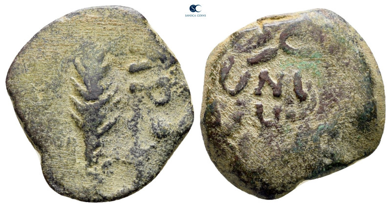 Judaea. Jerusalem. Procurators. Porcius Festus AD 59-62. 
Prutah Æ

17 mm, 2,...