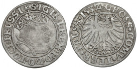 Zygmunt I Stary, Grosz Toruń 1532