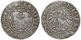 Zygmunt I Stary, Grosz Elbląg 1534