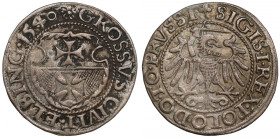 Zygmunt I Stary, Grosz Elbląg 1540 - ostatni