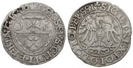 Zygmunt I Stary, Grosz Elbląg 1540 - ostatni