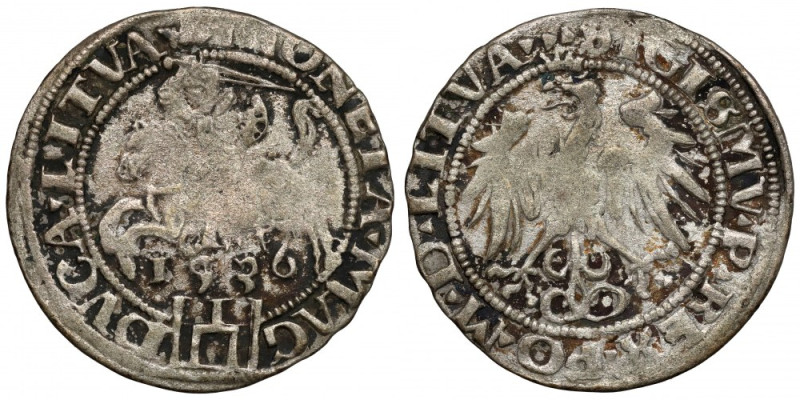Zygmunt I Stary, Grosz Wilno 1536 - litera F - luty Niedobicie centralne, częste...