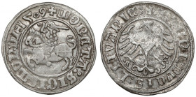 Zygmunt I Stary, Półgrosz Wilno 1509
