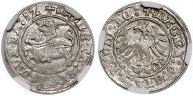 Zygmunt I Stary, Półgrosz Wilno 1512