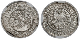 Zygmunt I Stary, Półgrosz Wilno 1521 - piękny i rzadki RRR
