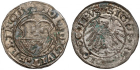 Zygmunt I Stary, Szeląg Elbląg 1532