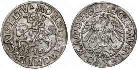 Zygmunt II August, Półgrosz Wilno 1546