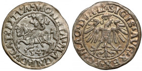 Zygmunt II August, Półgrosz Wilno 1547