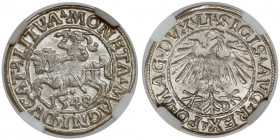 Zygmunt II August, Półgrosz Wilno 1548 - rzymska - piękny