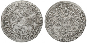 Zygmunt II August, Półgrosz Wilno 1550