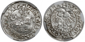 Zygmunt II August, Półgrosz Wilno 1556