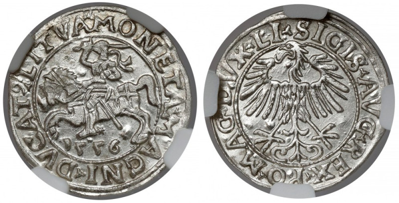 Zygmunt II August, Półgrosz Wilno 1556 Odmiana LI / LITVA.
Reference: Cesnulis-...