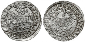 Zygmunt II August, Półgrosz Wilno 1556