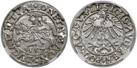 Zygmunt II August, Półgrosz Wilno 1557 - piękny