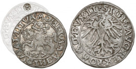 Zygmunt II August, Półgrosz Wilno 1557 - 2x koniczyna - rzadki R3