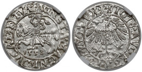 Zygmunt II August, Półgrosz Wilno 1558