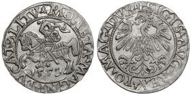 Zygmunt II August, Półgrosz Wilno 1559