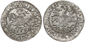 Zygmunt II August, Półgrosz Wilno 1559