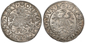 Zygmunt II August, Półgrosz Wilno 1560