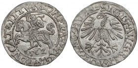 Zygmunt II August, Półgrosz Wilno 1562