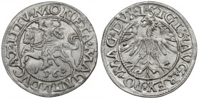 Zygmunt II August, Półgrosz Wilno 1563 - duża Pogoń