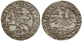Zygmunt II August, Półgrosz Wilno 1564