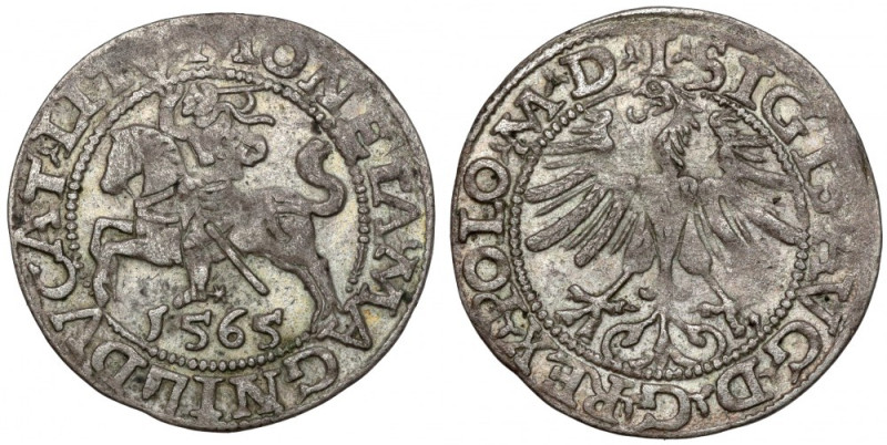 Zygmunt II August, Półgrosz Wilno 1565 Wczesna dla tego rocznika odmiana z Topor...