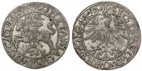 Zygmunt II August, Półgrosz Wilno 1565