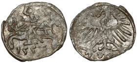 Zygmunt II August, Denar Wilno 1557