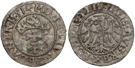 Zygmunt II August, Szeląg Gdańsk 1551 R3