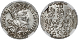 Zygmunt III Waza, Trojak Malbork 1594
