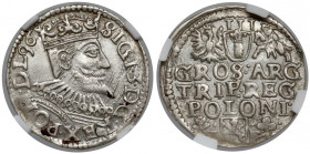 Zygmunt III Waza, Trojak Wschowa 1596