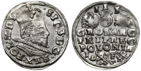 Zygmunt III Waza, Trojak Lublin 1596
