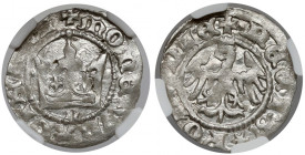 Władysław II Jagiełło, Półgrosz Kraków - typ 2 - litera N