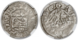 Władysław II Jagiełło, Półgrosz Kraków - typ 4 - litery AS