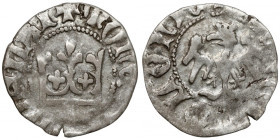 Władysław II Jagiełło, Półgrosz Kraków - typ 12 - bez znaku