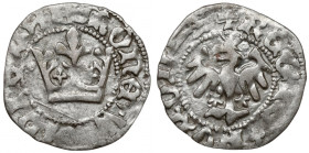 Władysław II Jagiełło, Półgrosz Kraków - typ 14 - bez znaku