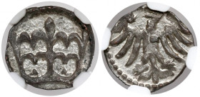 Władysław III Warneńczyk, Denar Kraków